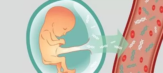 九江无创胎儿亲子鉴定