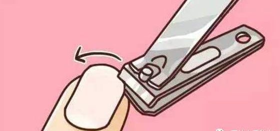1595575439459408.jpg 指甲鉴定.jpg